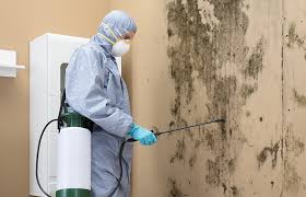 Best Air Quality Testing for Mold Spores  in Ddanelle, AR